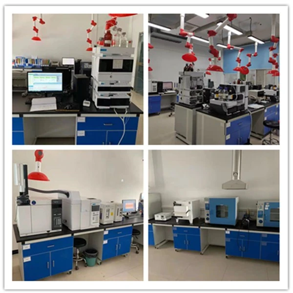 p-Carborane testing center